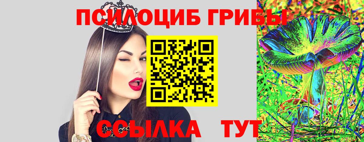 где можно купить наркотик  Вход с VPN  Псилоцибиновые грибы прущие грибы  Коломна  Галлюциногенные грибы GOLDEN TEACHER 