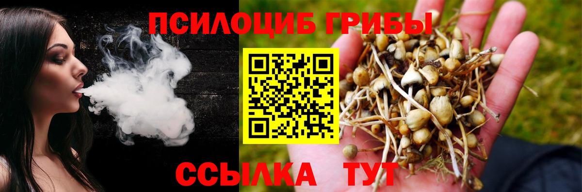 Галлюциногенные грибы Psilocybe Коломна